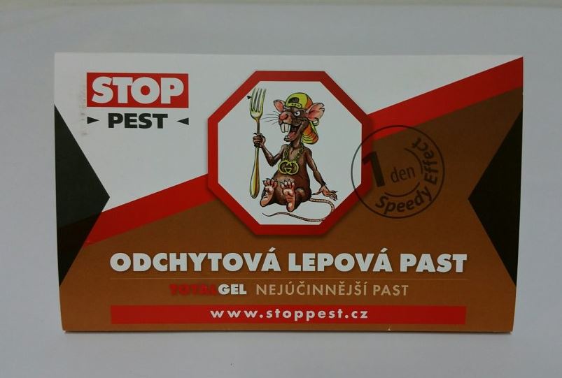 Škůdci na zahradě i doma – čím nás trápí nejvíc